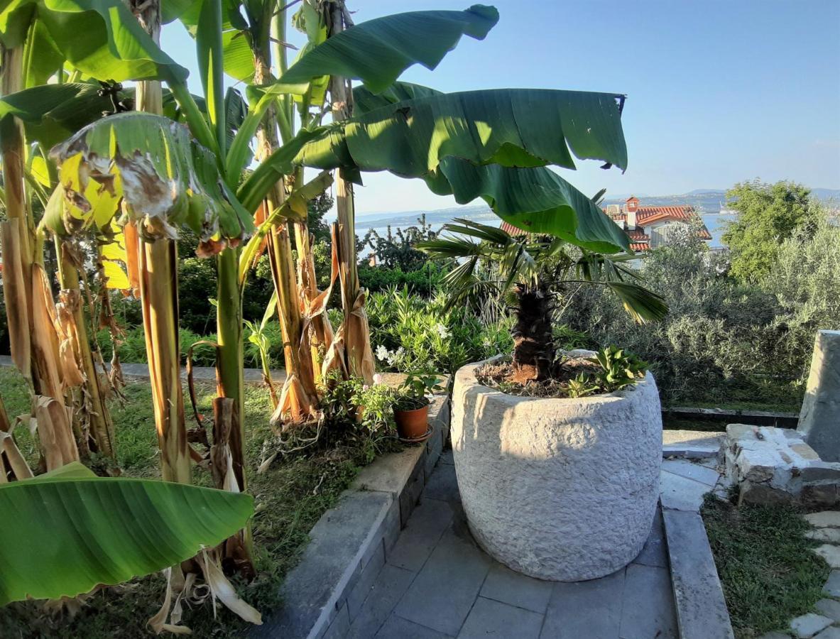 Apartment Nona Nina Κόπερ Εξωτερικό φωτογραφία