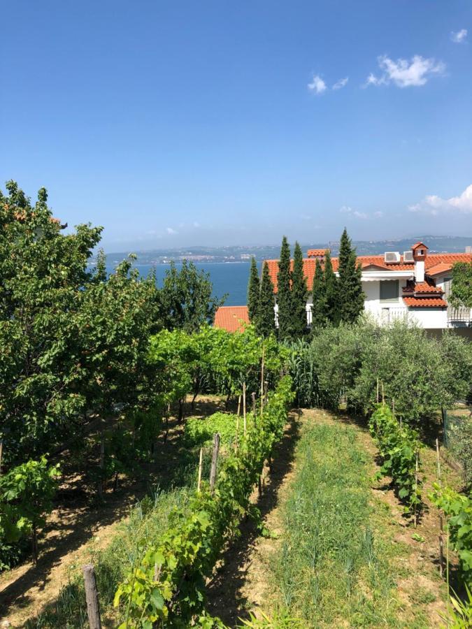 Apartment Nona Nina Κόπερ Εξωτερικό φωτογραφία